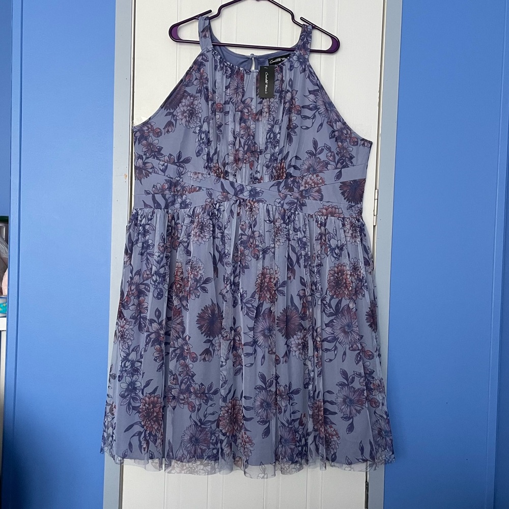 Plus Size Floral Occasion Dress